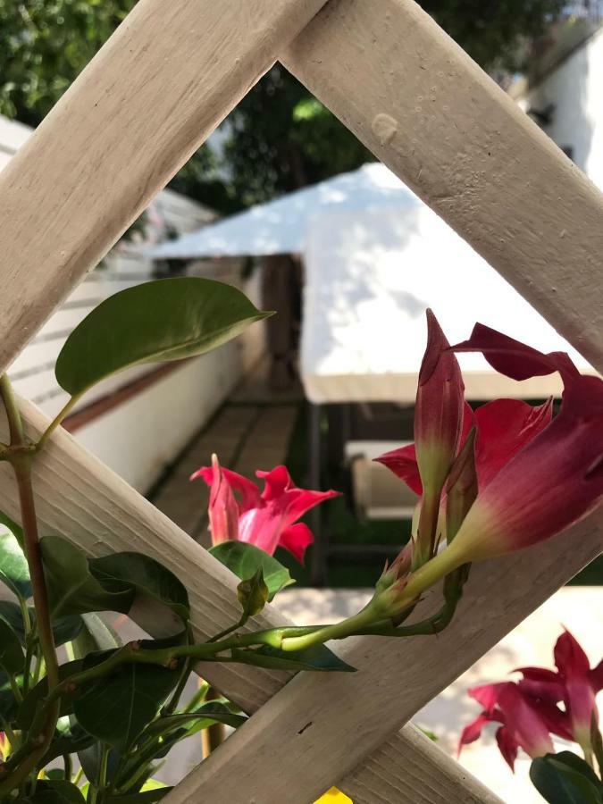 Bed and Breakfast Virgilio’s Garden Castellammare di Stabia Exterior foto